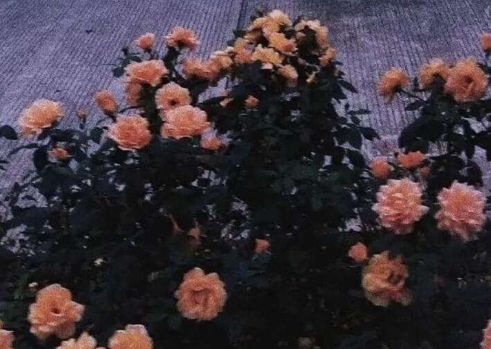 压抑的句子文案说说心情