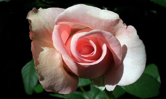 跨年写给男朋友的话语