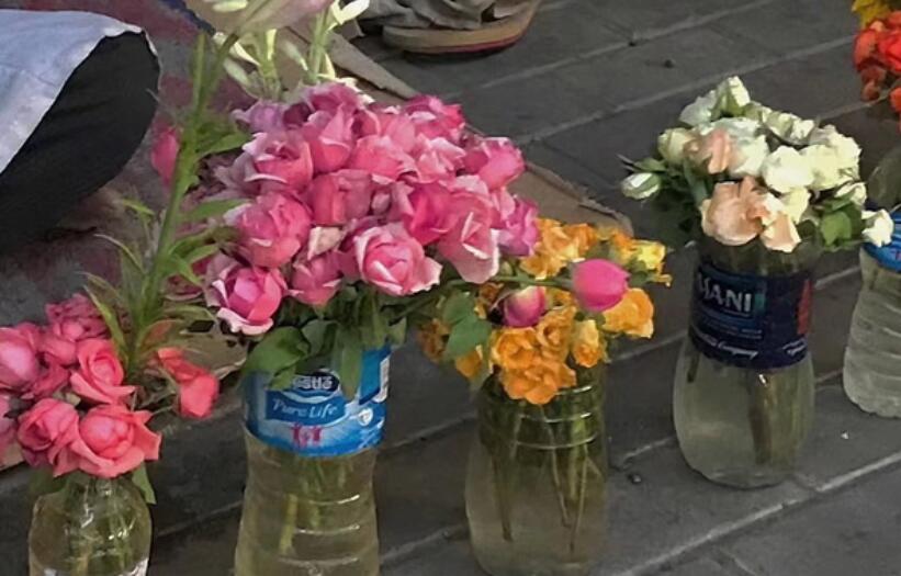 催着人长大的文案