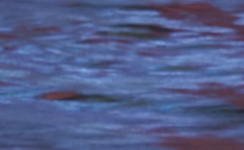 珍惜与值得的说说文案