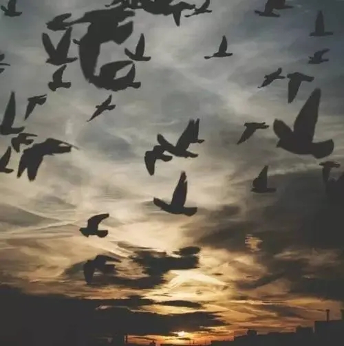 星辰大海情感语录文案