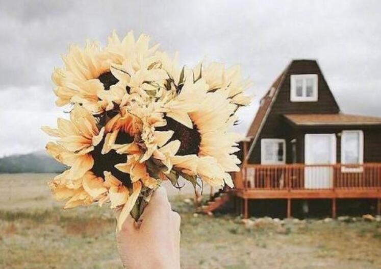 很惆怅的句子文案