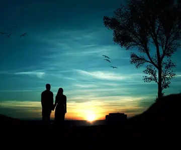 失望到极致的经典语录文案