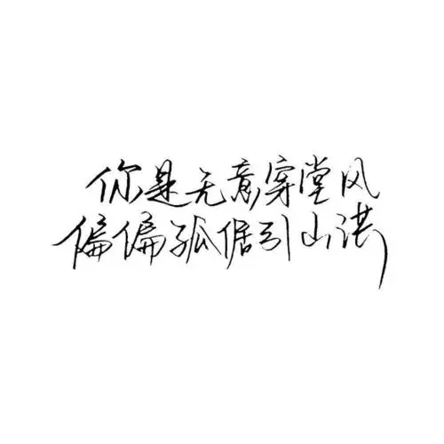 不超过八个字古风情话文案