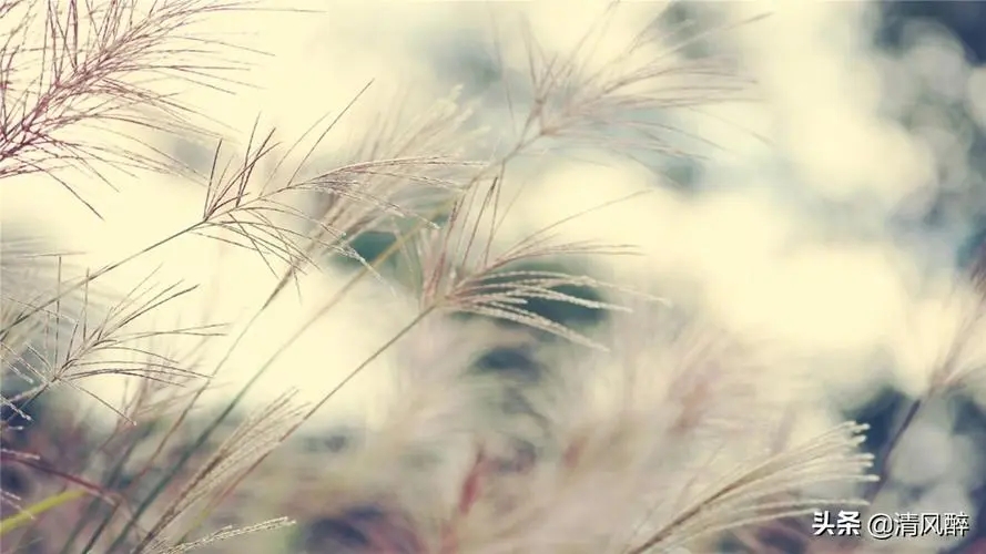 想念家人的朋友圈说说文案