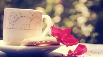 不狠心就是对自己残忍的句子文案