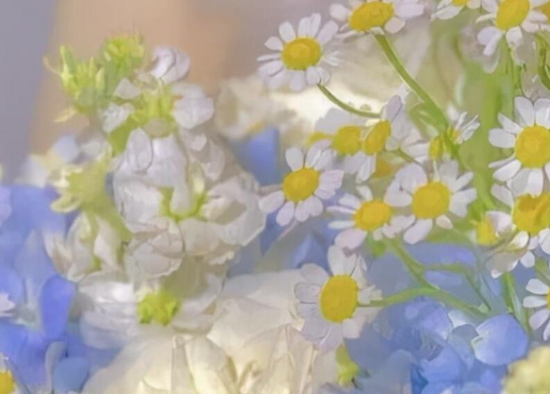 心情这一刻放松的句子文案