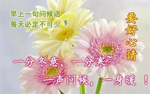 日常问候语图片