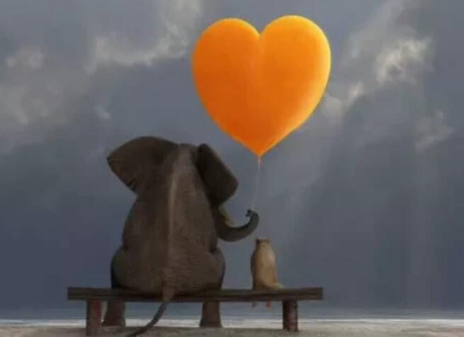 夸人心善的句子文案大全