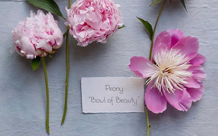 欢庆六一的句子文案