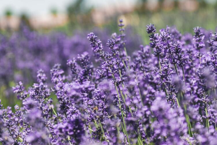 外宣赚钱正能量句子文案