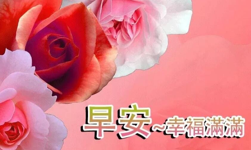 星期天的问候早安心语