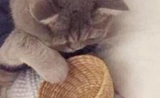 形容睡觉的搞笑句子文案