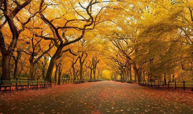 努力奋斗的说说文案