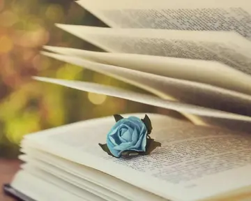 适合每天打卡的句子文案