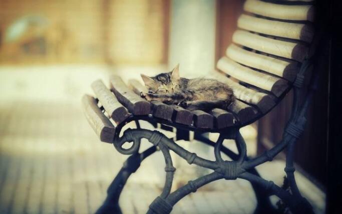 厌世简短消极的句子文案