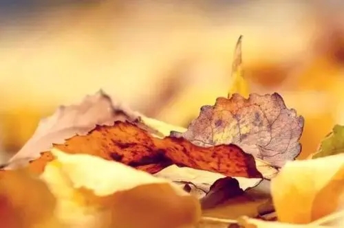 描写凄凉萧条景象的句子文案