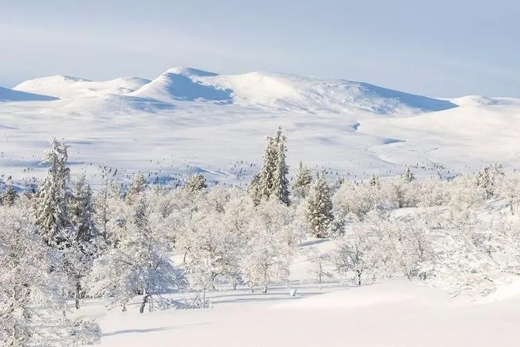 赞美冬天雪景的诗句文案