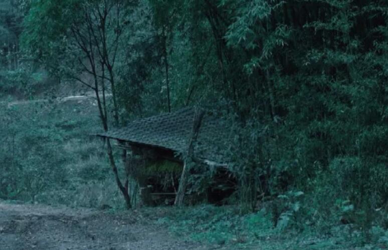 绿色的优美句子文案