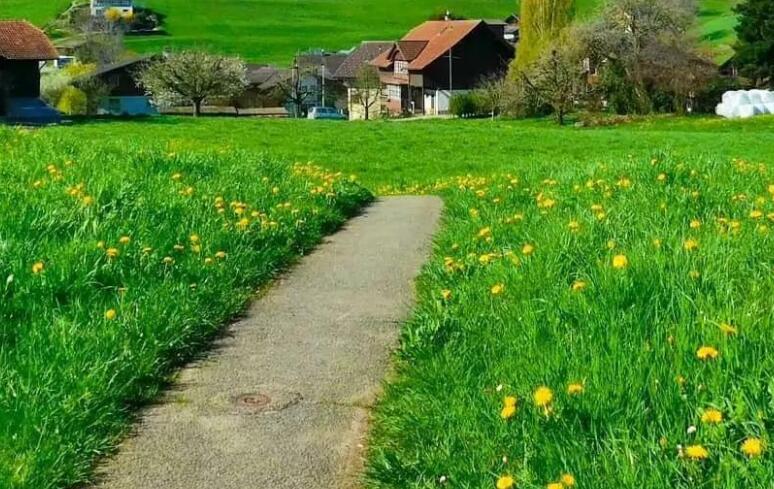 感受大自然的美好文案