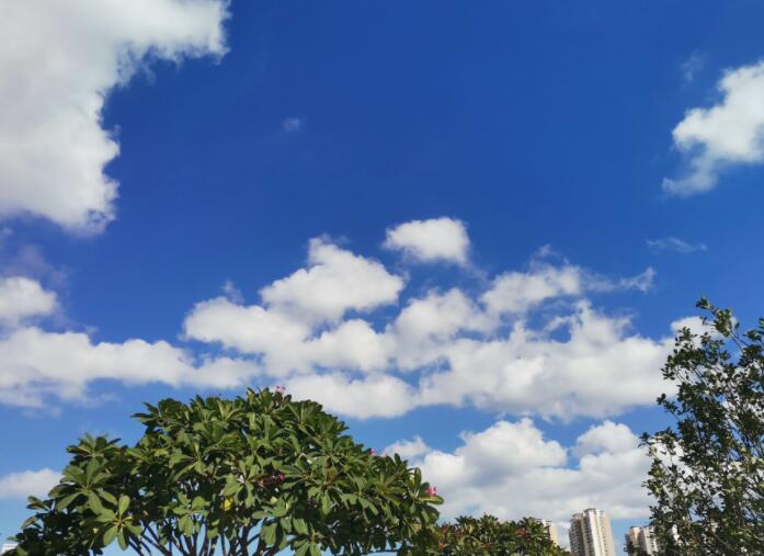 富有文采的美句