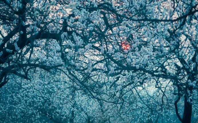 好词好句文案好段摘抄大全