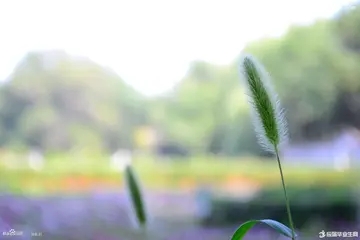 最伤感的祝福语