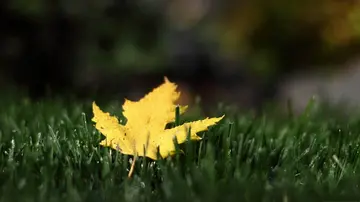 朋友圈旅游必配文字