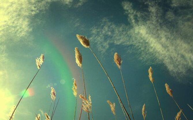 孩子死了说说文案短语