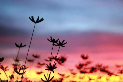 形容很幸福很知足的句子文案