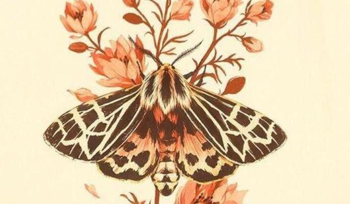 简短的表白情话文案20字