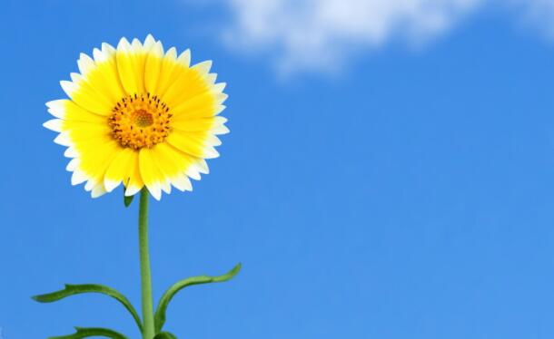 朋友生病了安慰的话