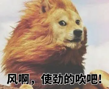 搞笑的损友朋友圈说说文案