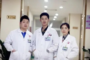 赞美医生的短句8字