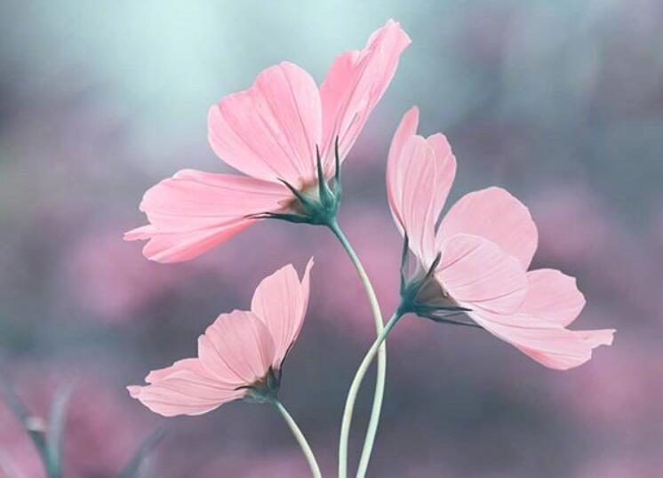 思想转变的句子文案