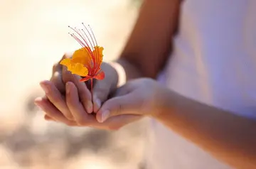 被误解的心情的句子文案