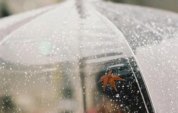 雨中漫步的唯美句子文案