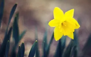 形容中秋节的词语句子文案