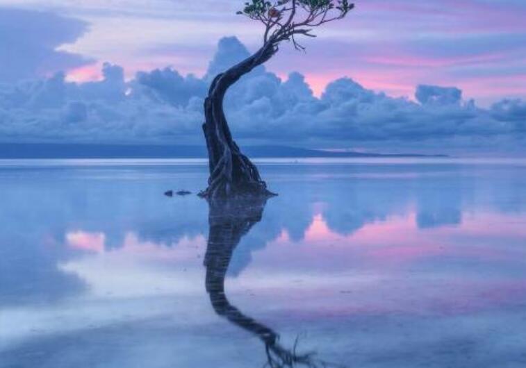 想念初恋情人的句子文案