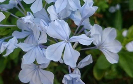 关于青春的唯美句子文案名人名言