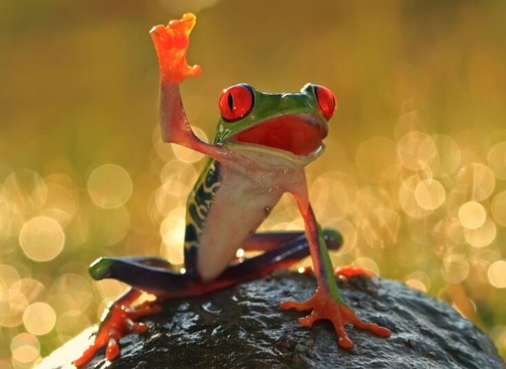 世界问候日的句子文案