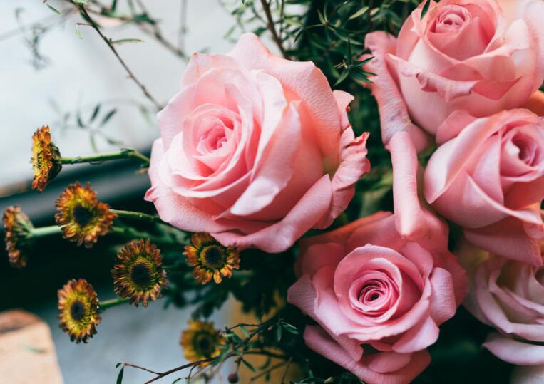 对婆婆失望的句子文案心寒的句子文案