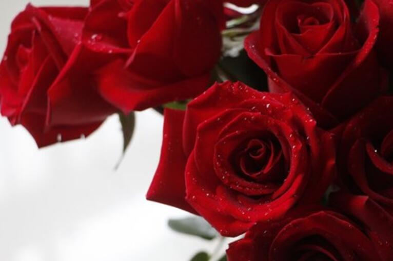 两人相爱珍惜的好句子文案