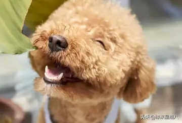 当下损人最幽默的话