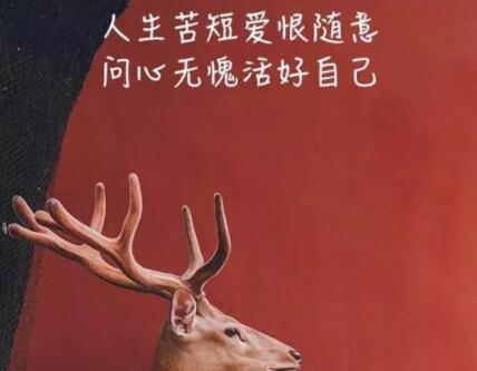 伤心的短语说说文案心情