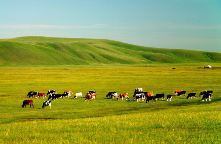 欢迎别人来家乡做客的句子文案