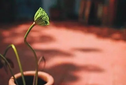 珍惜当下的优美句子文案短句