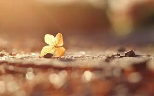 适合男生发的伤感文案