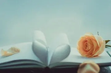 超霸气而又励志的句子文案