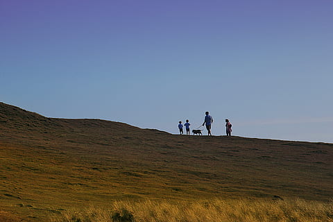 想你了的句子文案怎么说